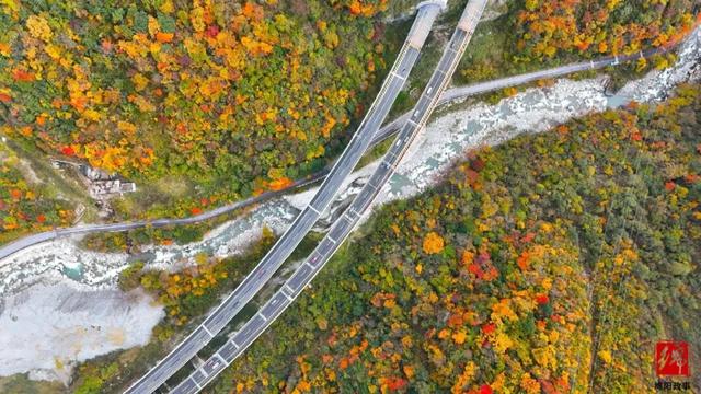 平武加入“大熊猫国家公园旅游目的地”品牌计划