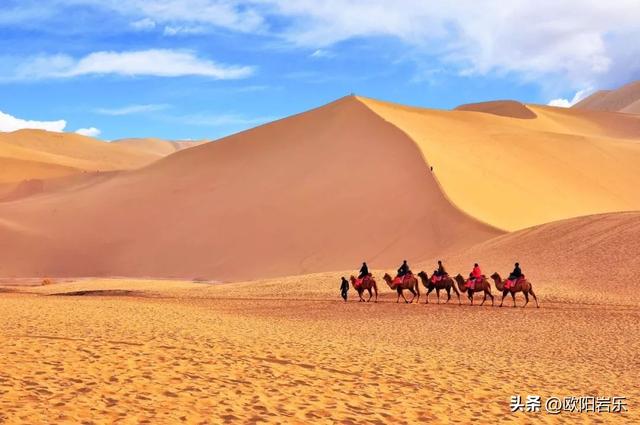 秋季的新疆，一草一木皆风景！