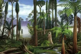 森林真的越多越好吗？早在3.06亿年前，地球就已经给出了答案图片
