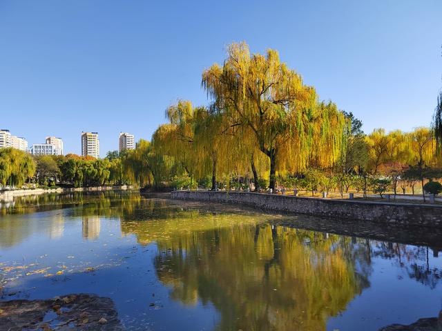 初冬，石家庄裕西公园落叶飘飘！