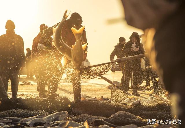 吉林的冰上冬捕刚刚下线，新疆的就来了，知道是哪吗？