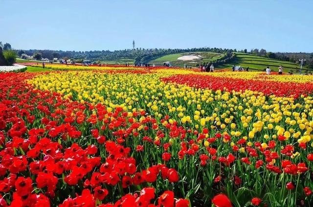 外交部推介!建水再一次“全球出圈”