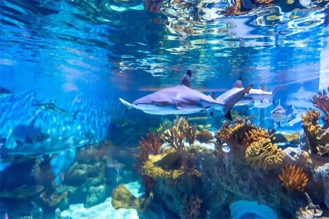 跟着滇超游大理，30+景区优惠福利来了