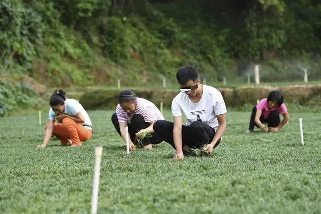 “知青下乡”重启?广东打响第一枪!号召30万青年，下农村