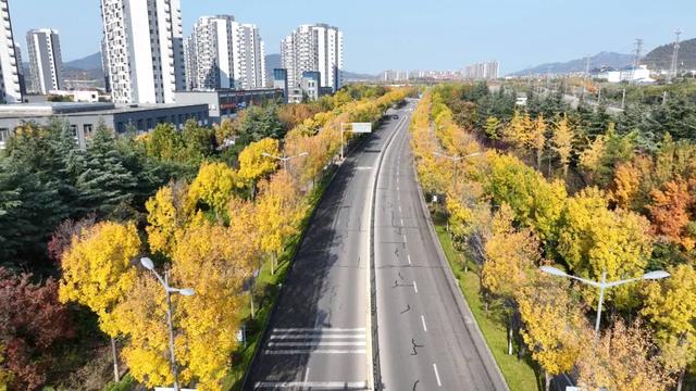 岱岳秋日多绚烂