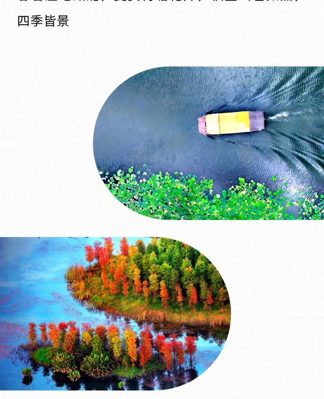 全新升级｜乘古风画舫，深度漫游普者黑山水人文之旅
