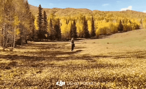 最懂生活的年轻人，爱上了大疆的「赛博飞宠」