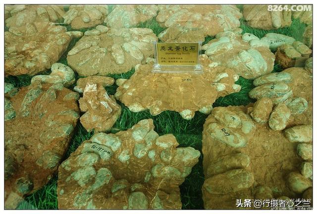山东行游影记（35）—平邑天宇自然博物馆（十）