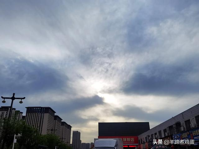 做几天洛阳人——游河南洛阳赏牡丹芬芳 总体概述（四）