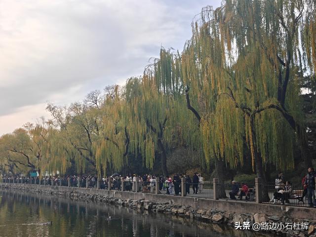 从童年嬉闹到诗意园林——一个北京土著的北海公园记忆