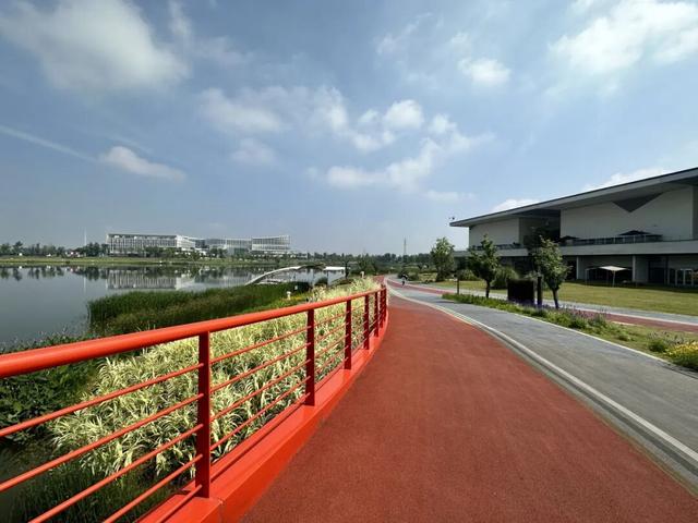 冬崃｜阳光与候鸟齐飞！泉水湖给你双重惊喜～