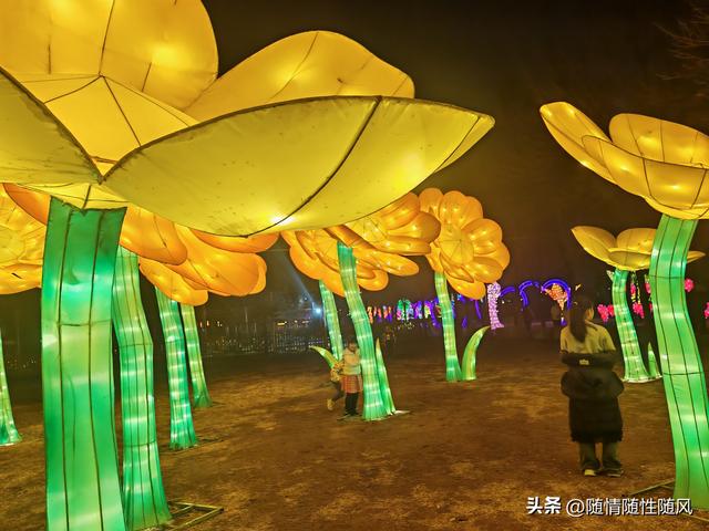 洛阳正月十五赏灯最佳处：隋唐遗址植物园