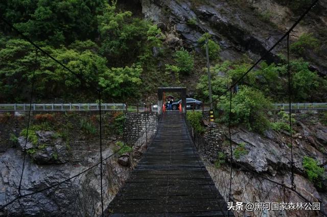来一场「云赏黑河」之旅！听雨观山，神游林海