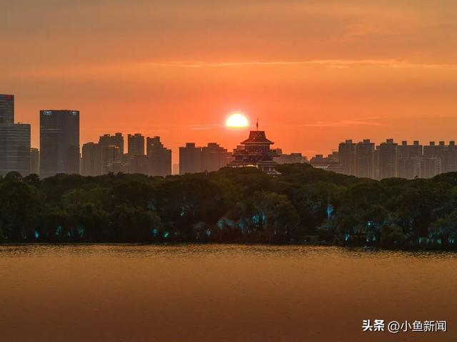 园区的夏日光影诗