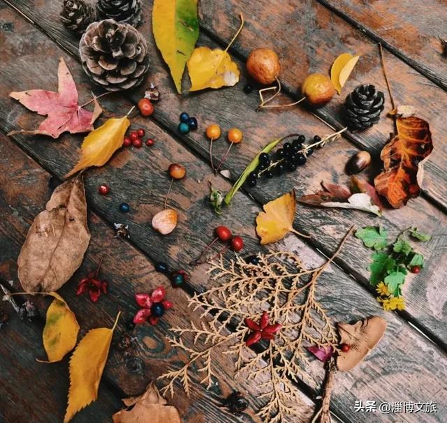 🤏捡捡捡，淄博惊现“捡秋”大神！海岱楼、周村大街…全被捡出来了→