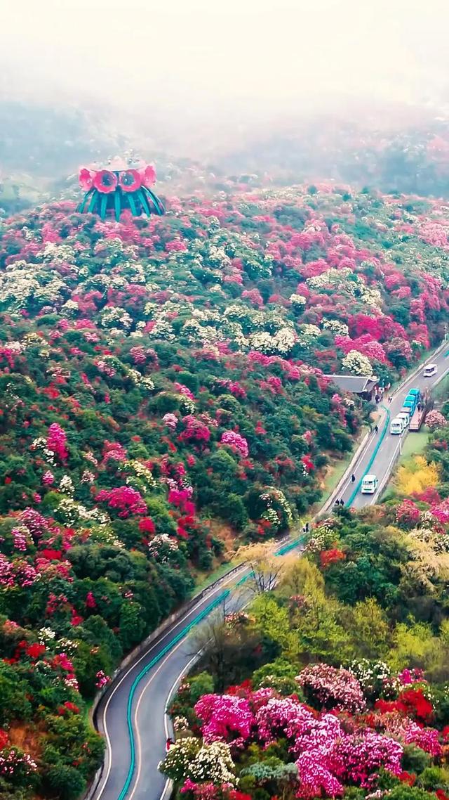 4月中下旬最后的花期，这6个地方还能赶上春天的尾巴