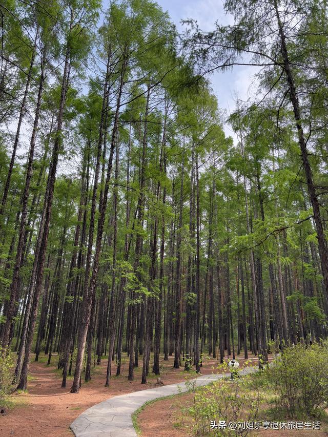 自驾331国道从黑河到漠河，一路找北寻北过程真实记录（二）