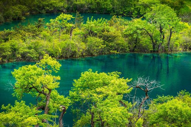 中国十大世界级绝世美景，你去过几个？全部去过的算你厉害！