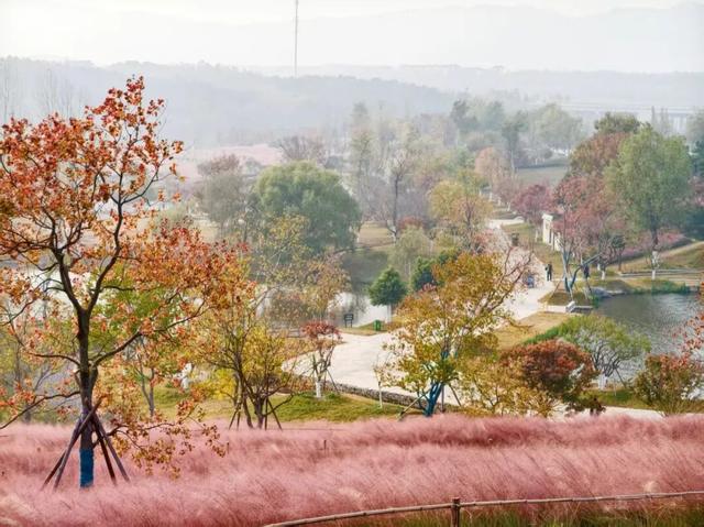 田曦薇、胡一天打卡西海岸！约你来玩！