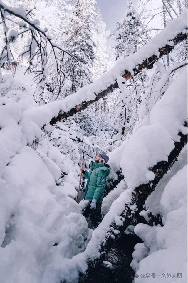 挖到宝了！这个叫安图的小城，装着整个冬天的快乐