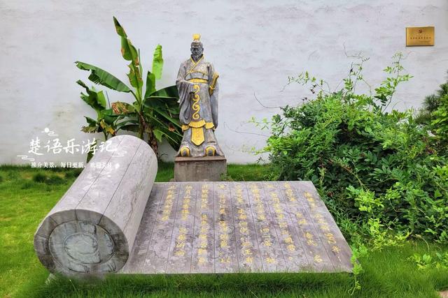 宁波这片向日葵花海又火了，被称为最具原始风情的莫奈花园，好美