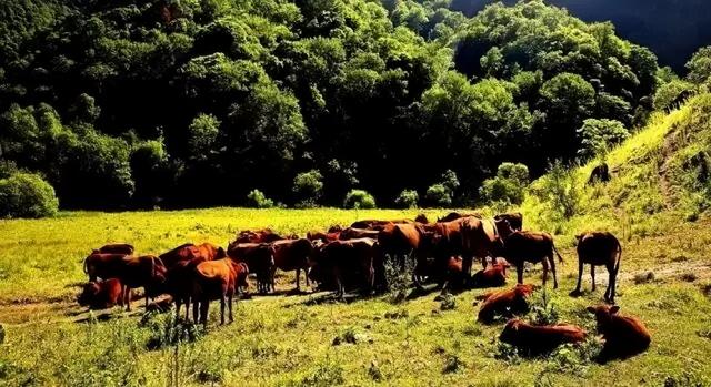 人间仙境！徽县三滩，这里的风光每一帧都能当屏保！