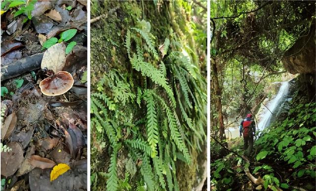 山海间的苗寨原乡：雅啦咪山海情民宿的本真文化旅居
