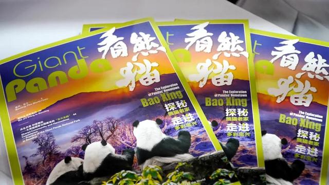 雅安宝兴亮相2025天府书展 多维呈现“熊猫老家”独特魅力