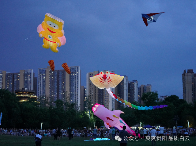 【爽游白云】“夜光绘星空·筝舞耀泉湖”——2025爽爽贵阳避暑季·白云泉湖公园夜光风筝放飞活动圆满落幕
