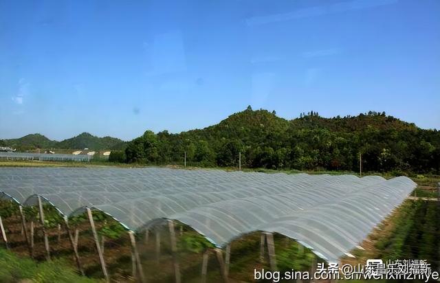 从鹰潭到乐安（江西之旅第七十篇）