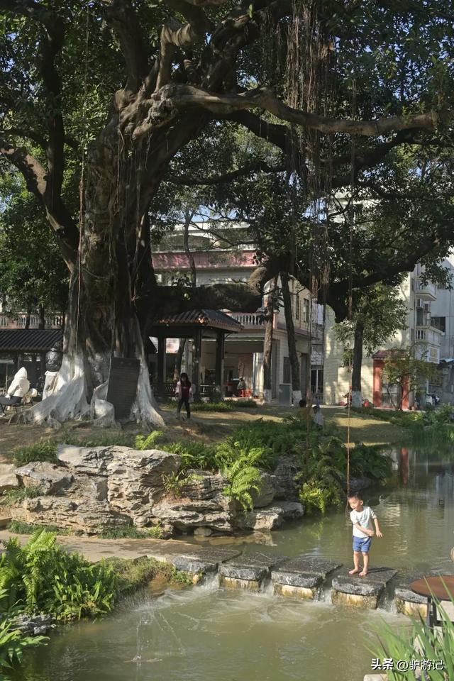 广东富可敌市的千亿镇，藏着一座不容错过的中国历史文化名村！