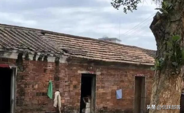 全红婵第二套房设计图曝光，院子划开大伯家界限，内幕引人猜测