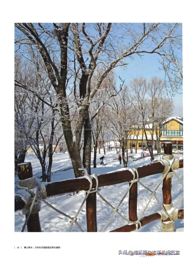 《青山草木》页选03