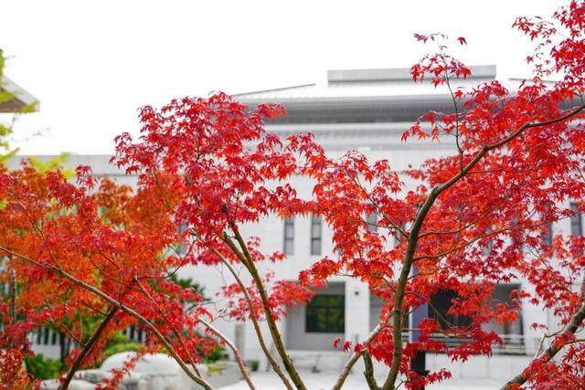 青州这些景致，藏着最动人的温柔