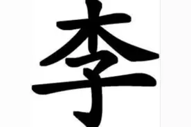 辽宁沈阳李氏，祖籍山东济南，快来看看有没有同宗图片