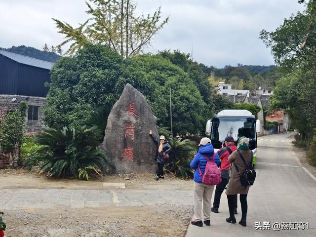 金叶映古村，醉美长岗岭