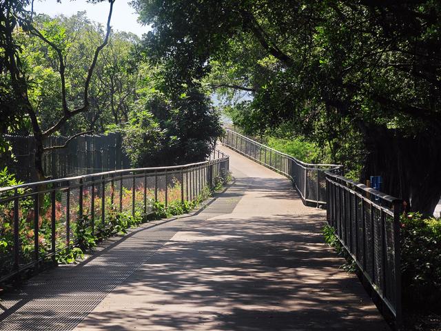 环西丽湖绿道骑行慢行随拍-动个好奇心