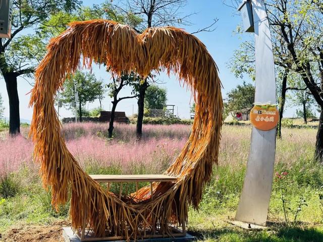 跟着色彩游临沂 | 柿子熟了・田园采摘之旅，承包你的秋日快乐