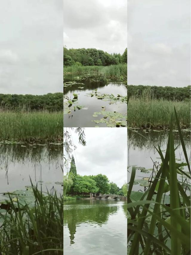 同里湿地避世计划｜住进荷塘月色里的绝美酒店