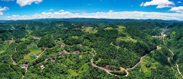 坐高铁游广元 | 今年夏天，为什么一定要宿进曾家山？