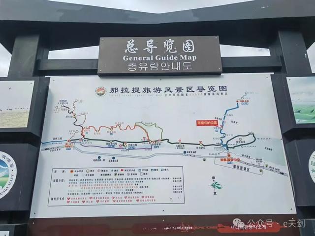 新疆“西施”，美翻天！