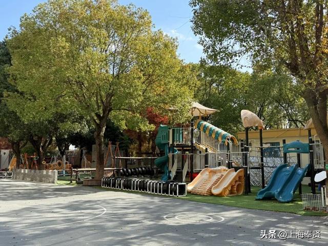 奉浦校园初冬美景大赏，你家娃的学校藏着这样的冬日浪漫