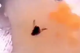 越闹越大！娃哈哈八宝粥"苍蝇门"事件，引网友热议，爆料者的发声图片