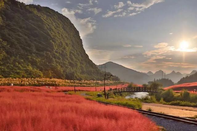 乡游黔中 · 长顺县 付家院村丨金菊翻浪映秋色，品味沉淀的时光