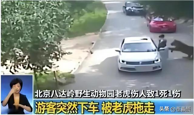 16年，母亲虎口救女被咬身亡，女儿至今未得到父亲原谅：怨谁