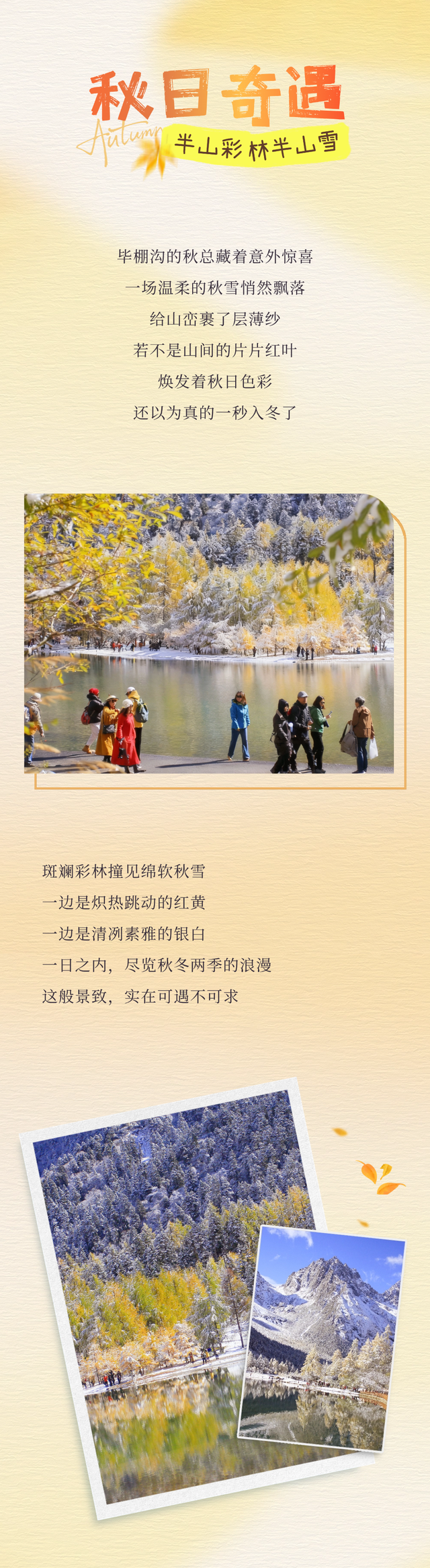 都不白来！毕棚沟秋色浓度爆表啦~