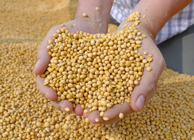 超2800亿大单，特朗普收到大礼！美高官为华发声：中国人说话算数