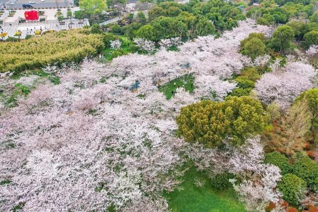 无锡这座大公园，即将爆火！