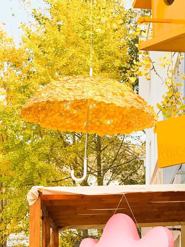 出发吧！自驾银杏谷路线来啦！