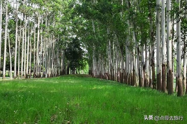 成都超级冷门公园，被称为“小西湖”，不要门票，地铁公交直达！